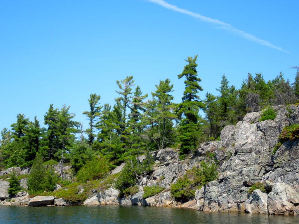 Southeastern Bay Landscape Photos Sunshine in a Jar
